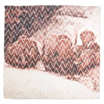 Joshua Tree Scarf