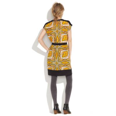 Paisleyview Shirtdress