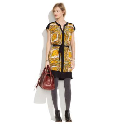 Paisleyview Shirtdress