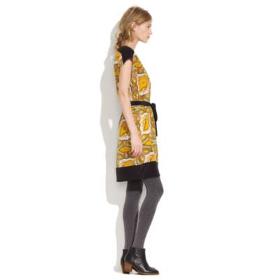 Paisleyview Shirtdress
