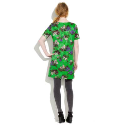 Mossbluff Dress