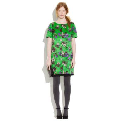 Mossbluff Dress
