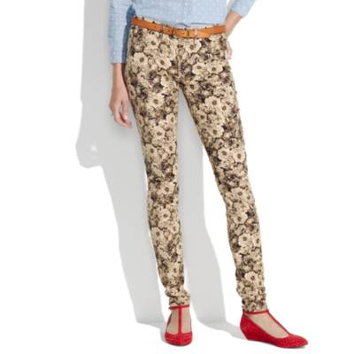 Skinny Skinny Cords in Photoflower