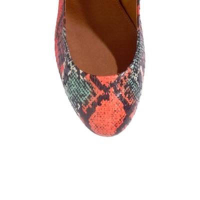 The Frankie Pump in Brightsnake