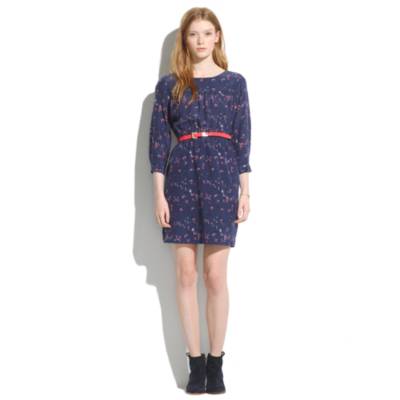 Silk Day Dress in Birdslife