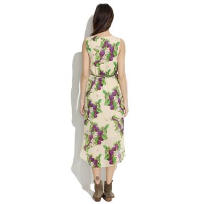 Sugarplum Dress