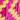 hot pink yellow cana flecha&trade; wide bracelet