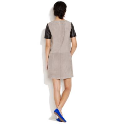 Winter Suede Dress