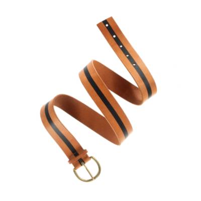 Stripeview Belt