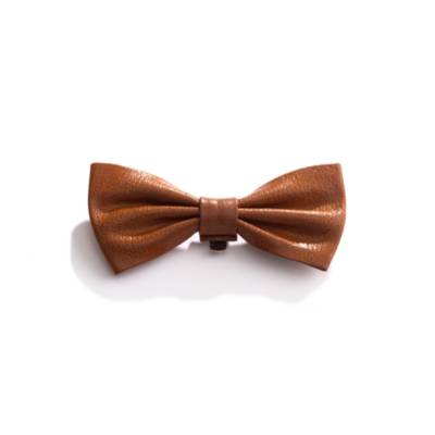 Jolie Shoe Clip