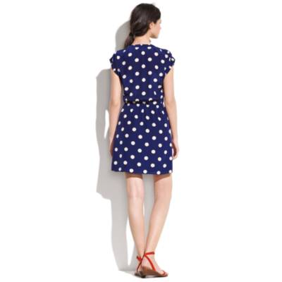 silk Dotty Dress
