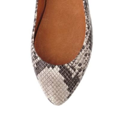 The Sidewalk Skimmer in Python Print