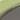 green drifter shades