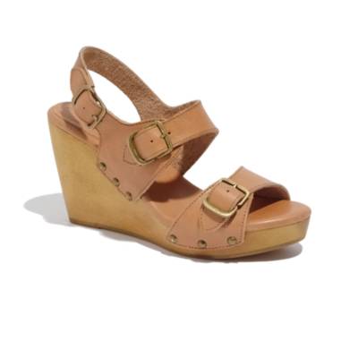 The Tri-Buckle Wedge