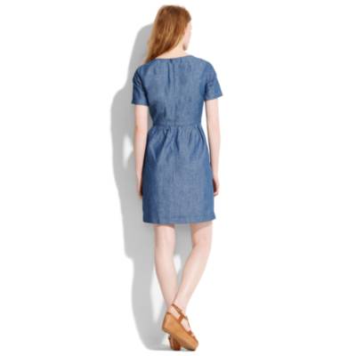 Chambray Songbird Dress