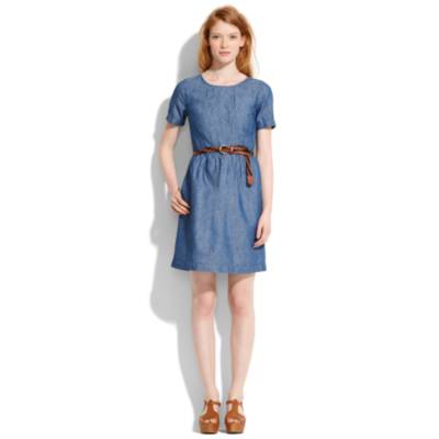 Chambray Songbird Dress
