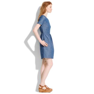 Chambray Songbird Dress