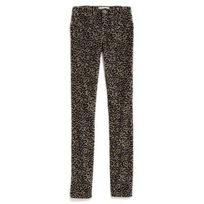 Skinny Skinny Printed Cords