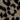 urban grey skinny skinny printed cords